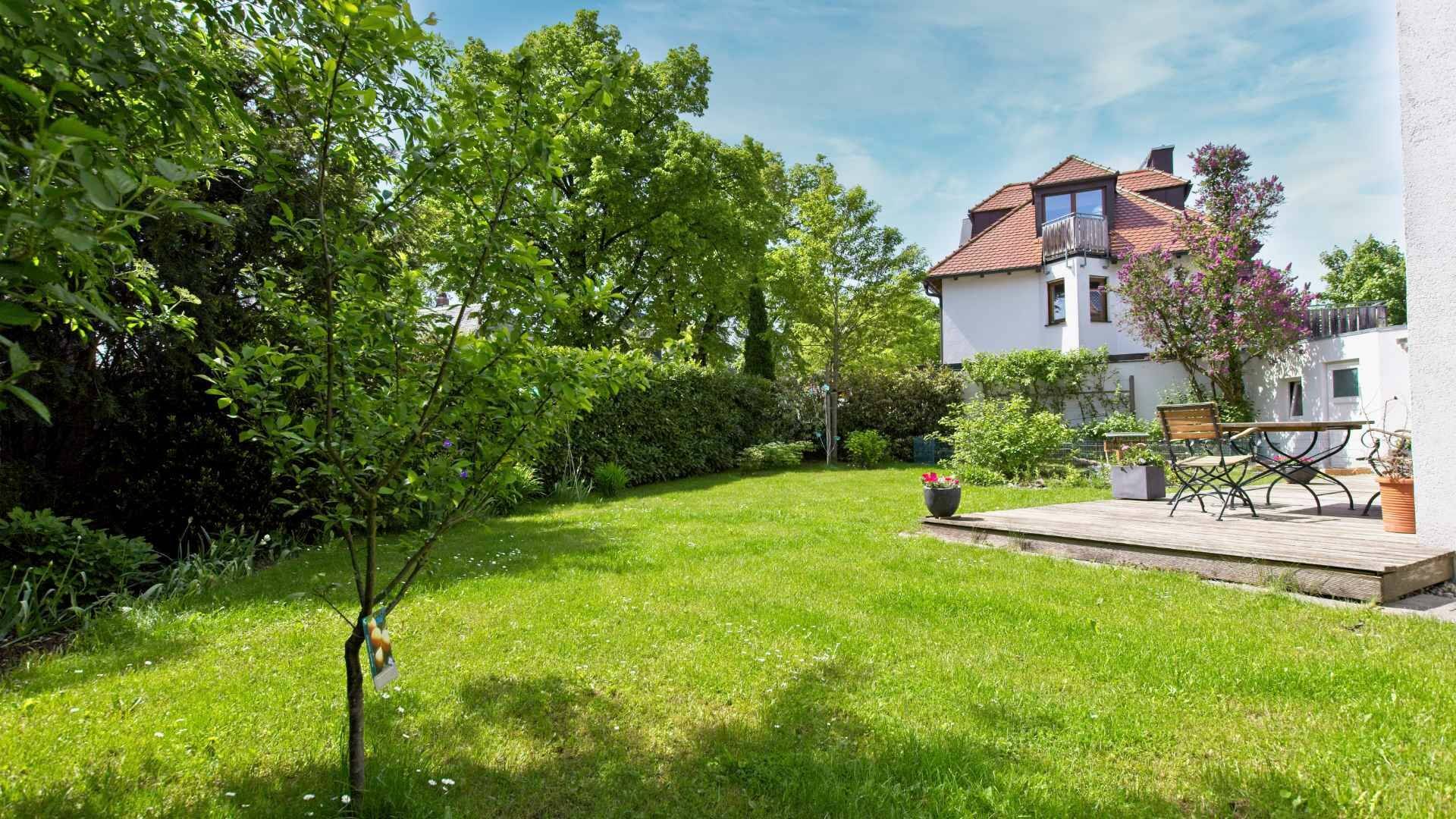 Blick in den schönen Garten